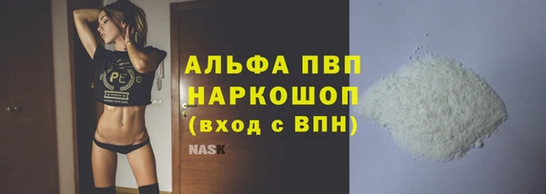 индика Новый Уренгой