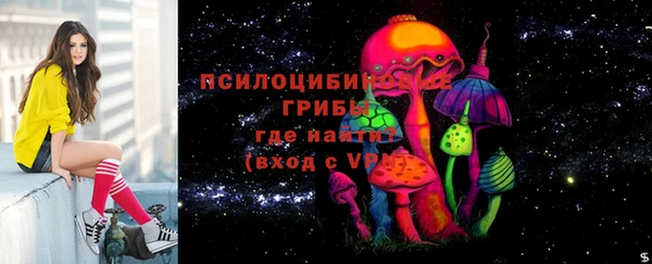 гидропоника Белокуриха