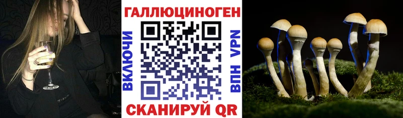 Псилоцибиновые грибы Psilocybine cubensis  Давлеканово 
